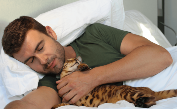 Why Do Cats Sleep on You? Here Are The Top 6 Reasons Why do cats sleep on you